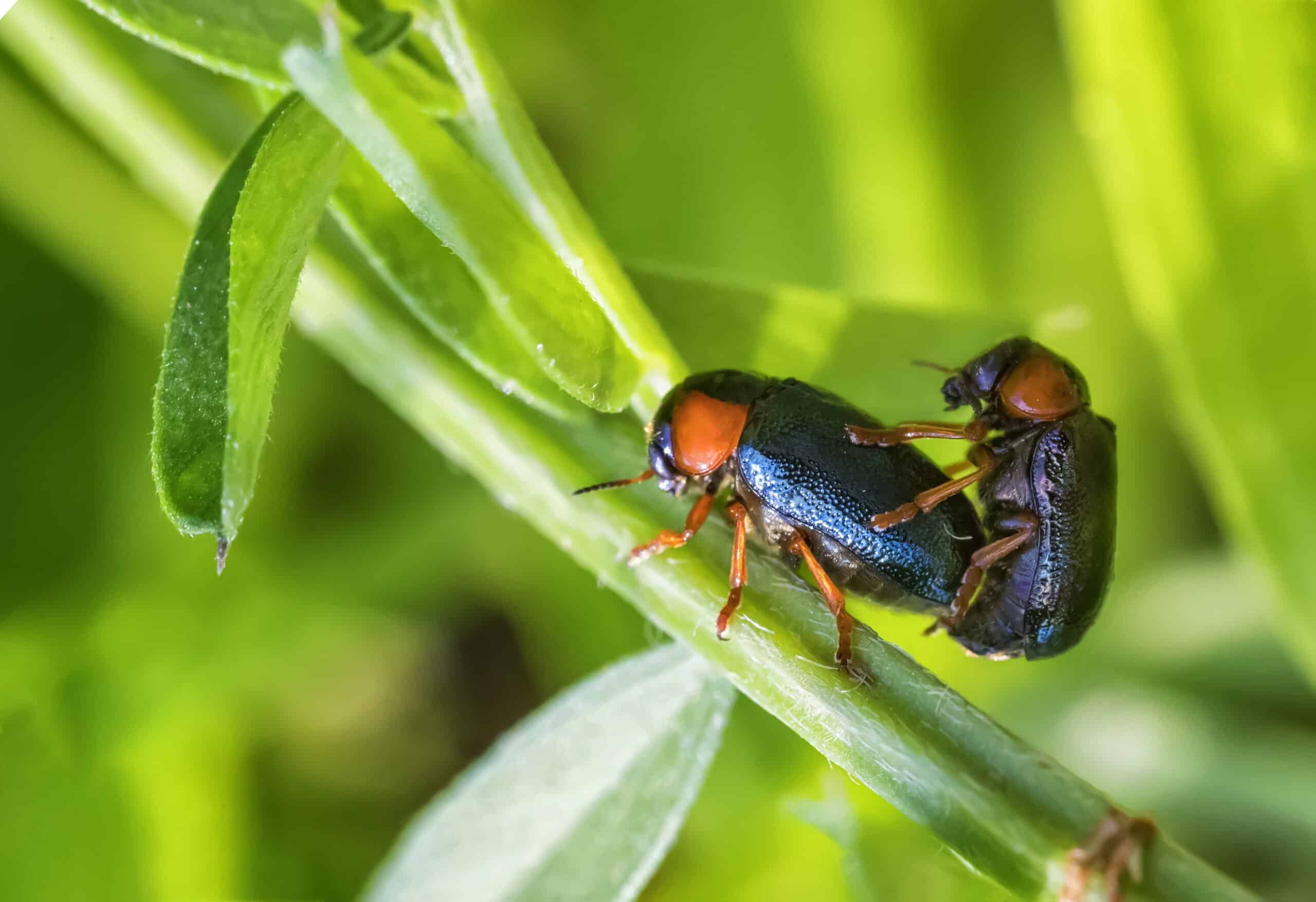 What's Wrong with Jumping Into Sex First?
